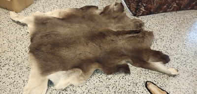 Hirven vasan talja, 1,6m x 1,8m