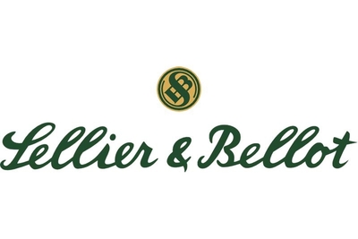 Sellier&Bellot XRG, cal 9,3*62 16,2 g 250 grs (20 kpl rasia) 