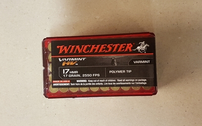 Winchester Varmint 17 HMR Polymer tip