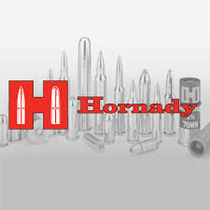 Hornady pilot 16 .375