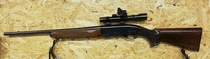 Remington 742 Woodsmaster Cal .308win, TT3