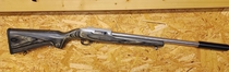 Ruger 10/22, cal .22lr, TT=3