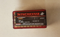 Winchester Varmint 17 HMR Polymer tip